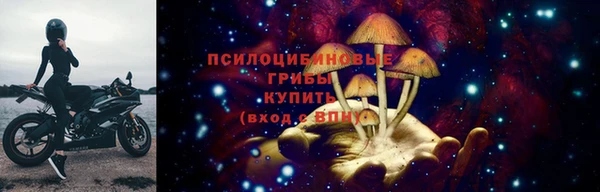 трава Гусев